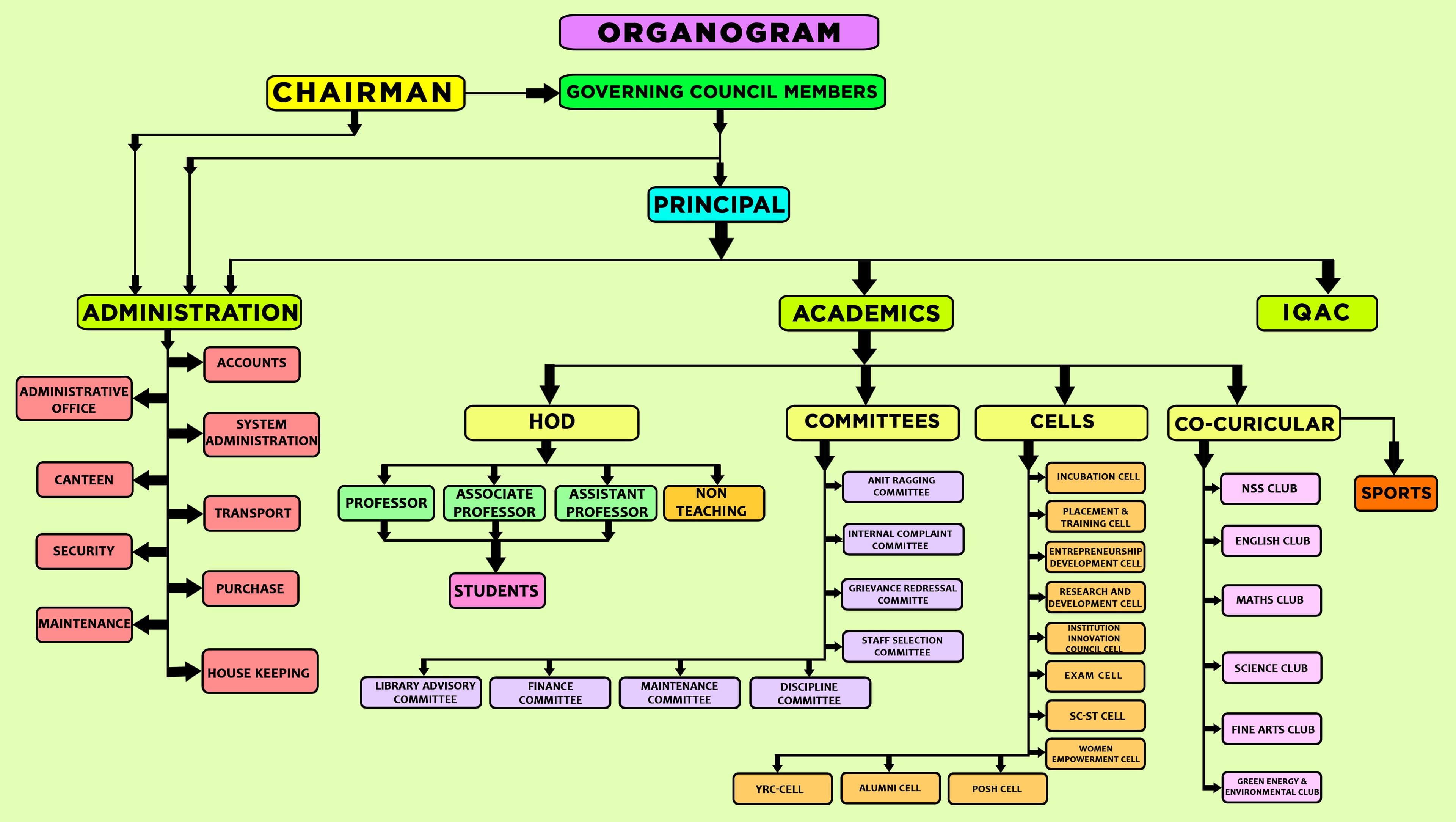 Organogram